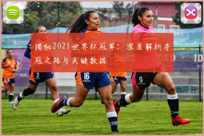 揭秘2021世界杯冠军：深度解析夺冠之路与关键数据