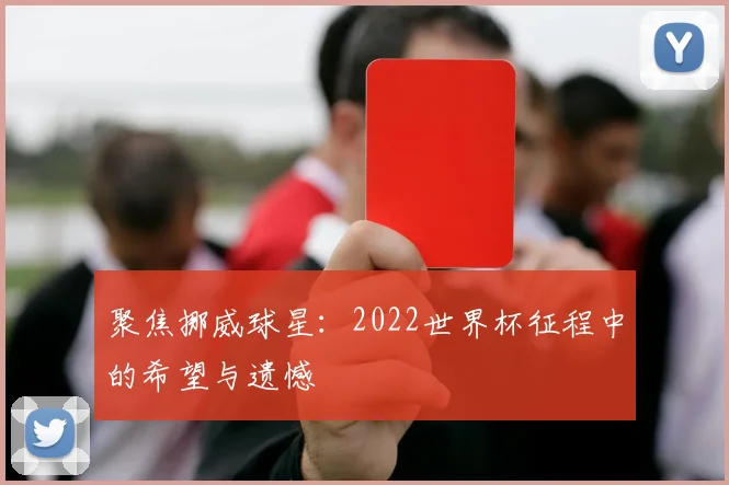 聚焦挪威球星：2022世界杯征程中的希望与遗憾