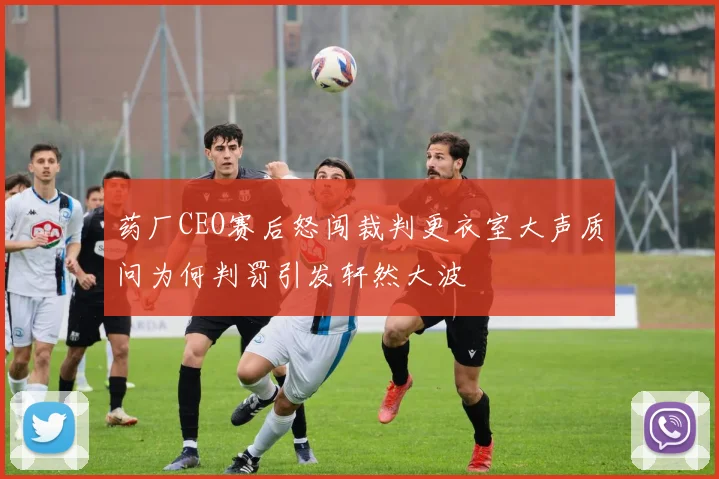 药厂CEO赛后怒闯裁判更衣室大声质问为何判罚引发轩然大波