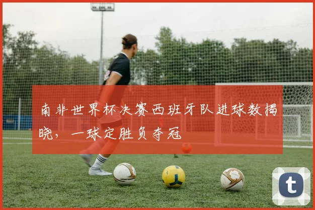 南非世界杯决赛西班牙队进球数揭晓，一球定胜负夺冠