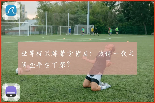 世界杯买球禁令背后：为何一夜之间全平台下架？