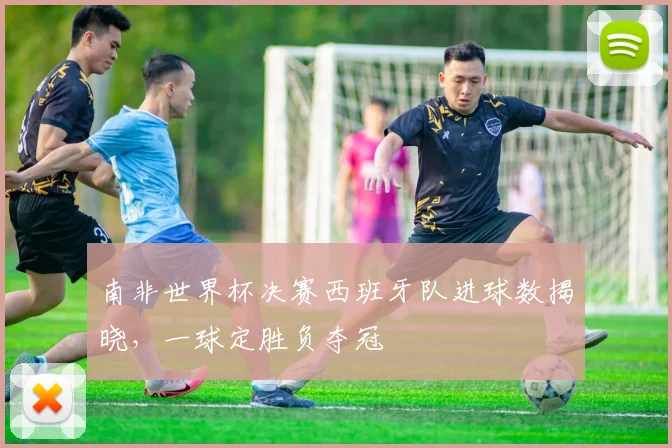 南非世界杯决赛西班牙队进球数揭晓,一球定胜负夺冠