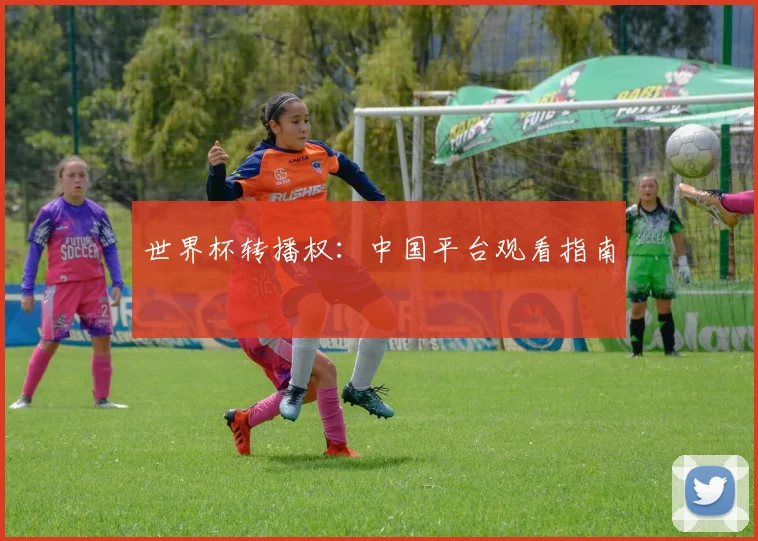 世界杯转播权：中国平台观看指南